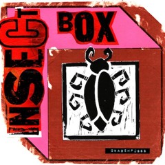 Insect Box
