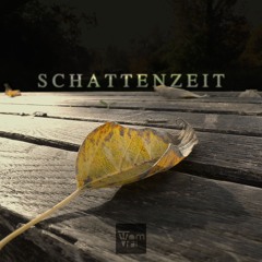 Tom Vrai - Schattenzeit