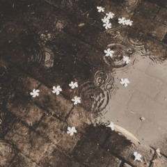 wish me away ft cities