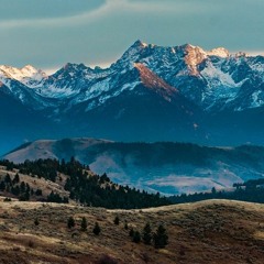 Take Me Home to Montana