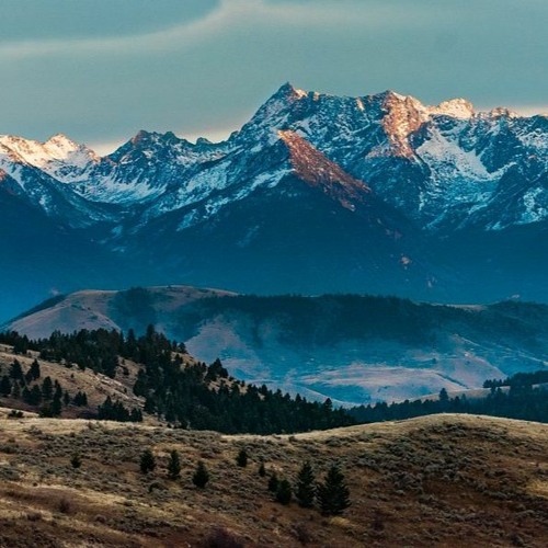 Take Me Home to Montana