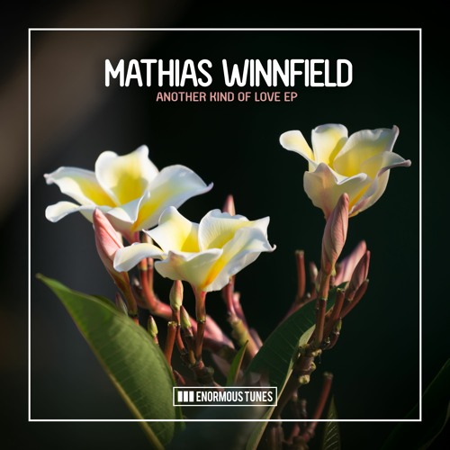 Mathias Winnfield - Fear Of The Unknown