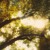 Artwork for traces (early version)