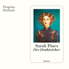 Sarah Pines, Der Drahtzieher. Diogenes Hörbuch 978-3-257-69563-2