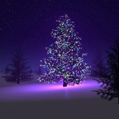 Adult Swim Bump - Late Holidays