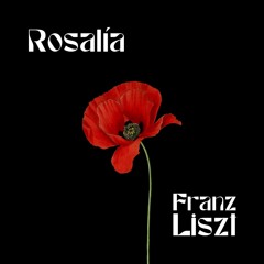 Rosalía x Franz Liszt {Collage}