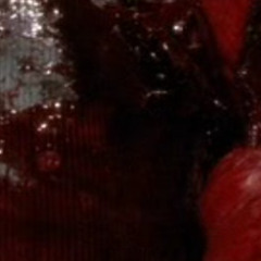 shoutout Yall Uk Drillys out Dea Dis a Sad breakup Song im Miserable Haha im Miserabaal