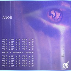 'Don't Wanna Leave' (VIP)