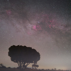 Dreams