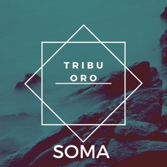 PREMIERE : Tribu Oro - Space Cruise [Sofa Beats]