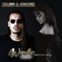 Ayliva & Apache - Wunder (MTX Techno Remix)