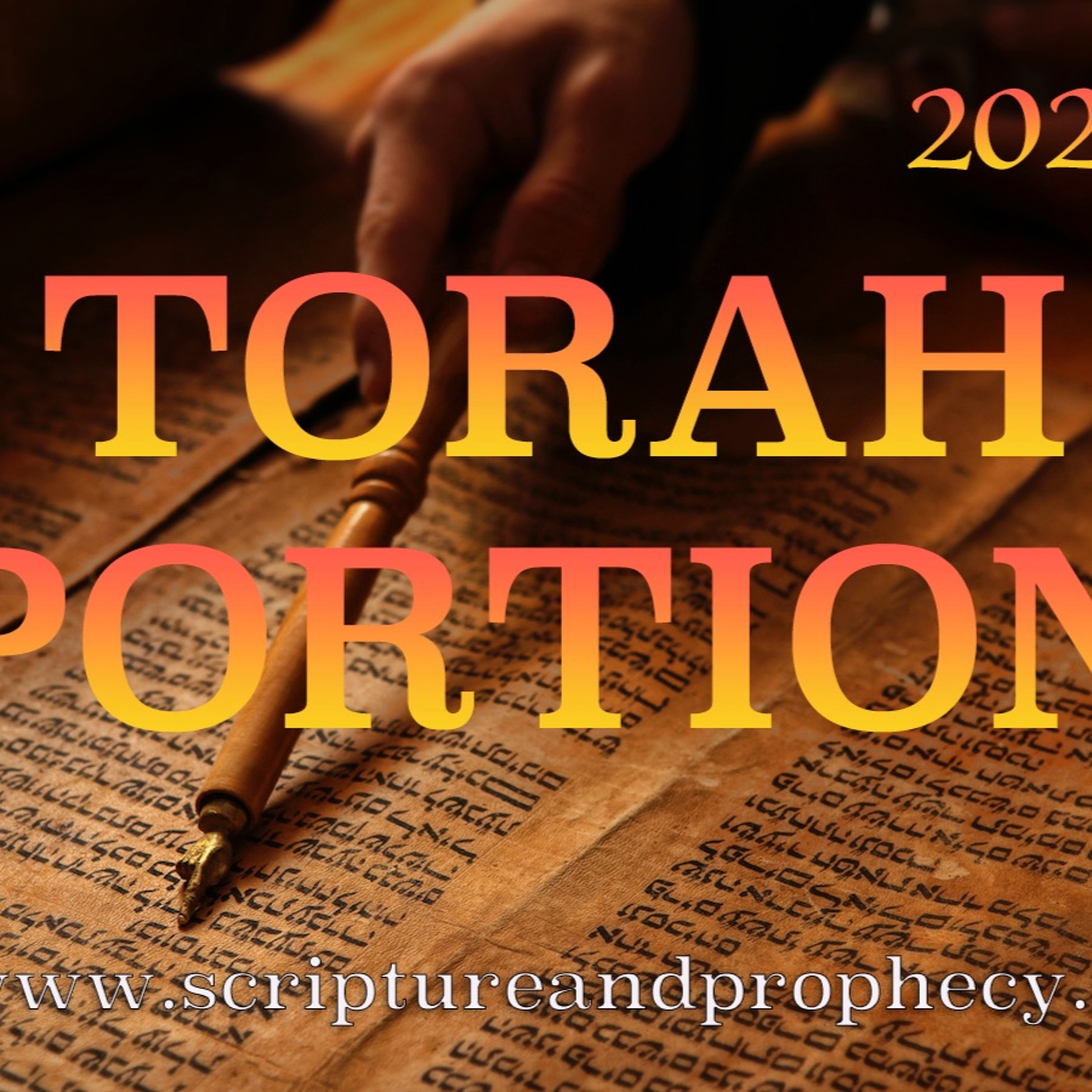 Torah Portion – Bamidbar: Numbers 1–4:20 - A Census of Israel's Warriors