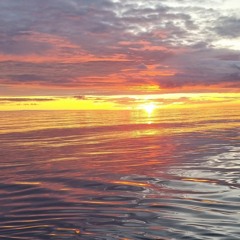 O kot non omw ning by bobo    [rewinia]