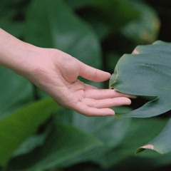 If I Touch -  Rap Extended