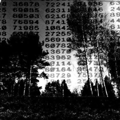 NUMBERS STATION