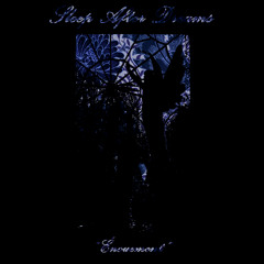 Noches Azules "Sueña"