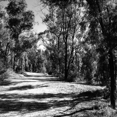 Three Steps Forward