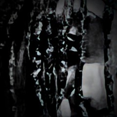 navoaxgio - so foooe reallll.m4a.mp3