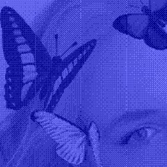 Blue Morpho