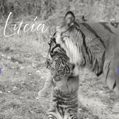 RICHARD PARKER -Lucía