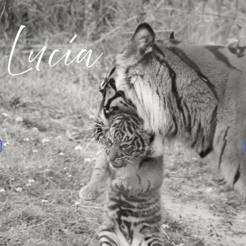 RICHARD PARKER -Lucía