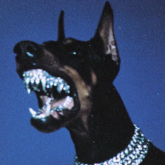 VIOLENT DOG BRINGS PEACE TO THE WORLD(Prod devilship)