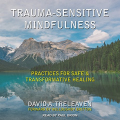 download EBOOK 💜 Trauma-Sensitive Mindfulness: Practices for Safe and Transformative