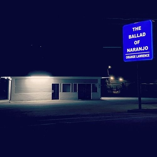 where did all of the birds go?