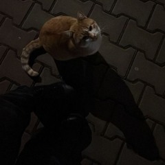 Sexski - รู้ตัวอีกที Feat 2TFLOW