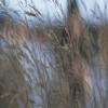 Spira me - Sentimental