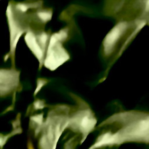 Sirenen: Final Destination before Liberation // a Mindful collabs Implosion