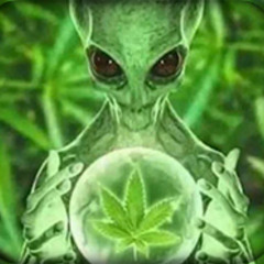 alien
