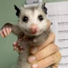 Slang for Money in Detroit