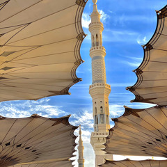 مواليد
