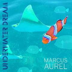Underwater Dream