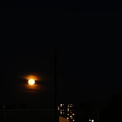 leave me alone. rough