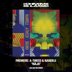 PREMIERE CDL || A-Tweed & Nandele - Naja [Jollies Records] (2023)