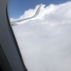 world views(resemoney)