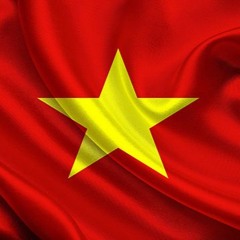 VIET NAM TRONG TOI LA - NPP MASHUP (Filter) 2024