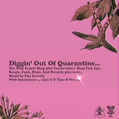 Diggin' Out of Quarantine Mix (Wild Prairie Shop plus Conservatory Shop digs in Chicago)