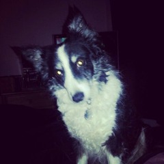 #gençtimbirgünahişledim