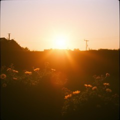 hallelujah_in_the_darkness_7943a165-479c-4243-be95-7343e748df63.mp3