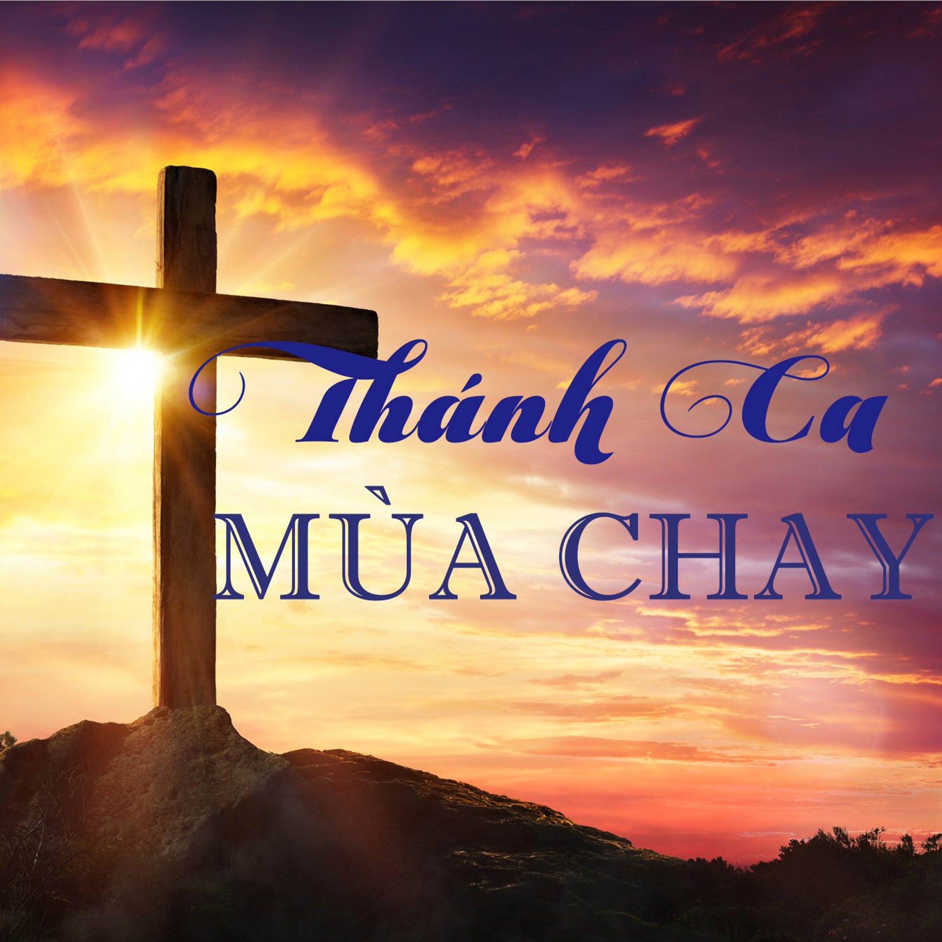 Tâm tình ca 2 || Ca sĩ Phê-rô Anh Vinh