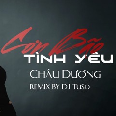 Cơn Bão Tình Yêu | Lời Việt | Châu Dương | Remix DJ Tuso | Nhạc hot tiktok 2021