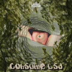 Consume LSD