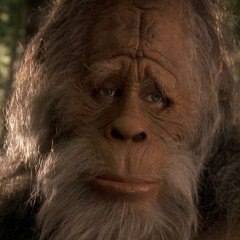 Bigfoot Ate My Homework