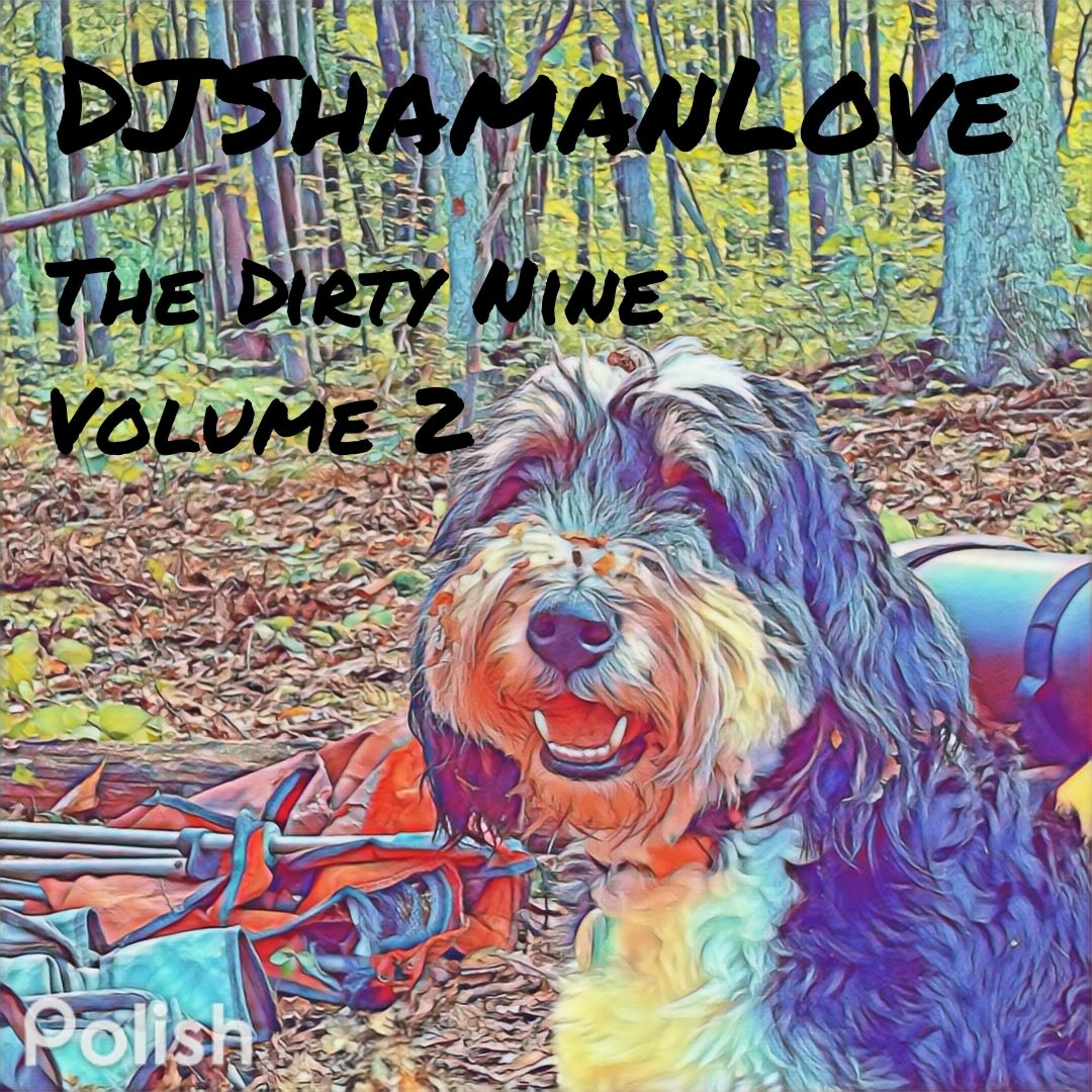 DJShamanLove