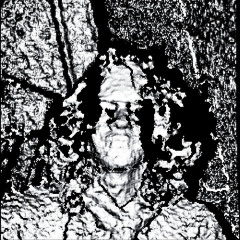 #freetexaso p.texaso