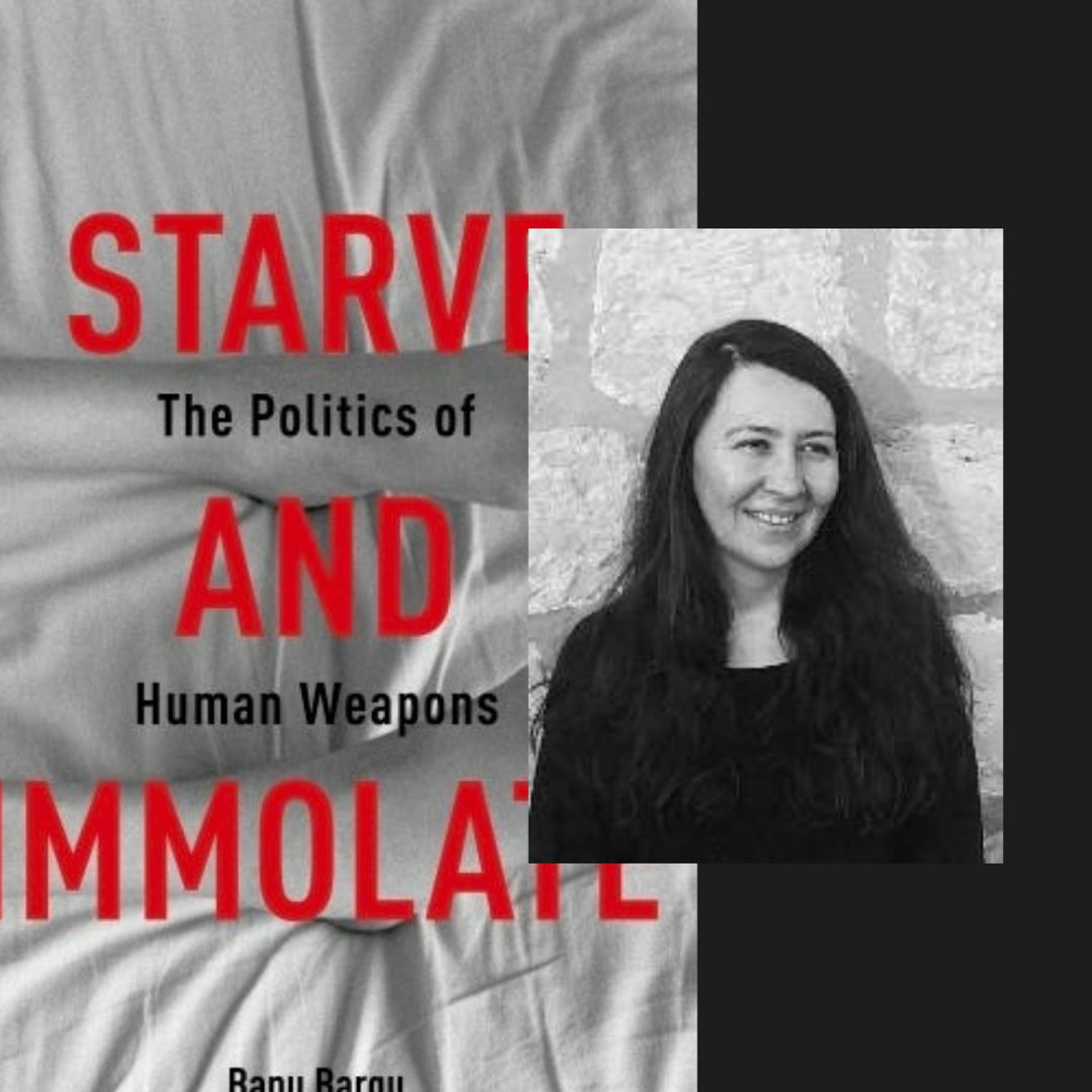 Episode 2: Weaponizing Life, with Banu Bargu