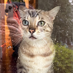 carolina girls (belis) x good n mf plenty (dj soulchild ac)